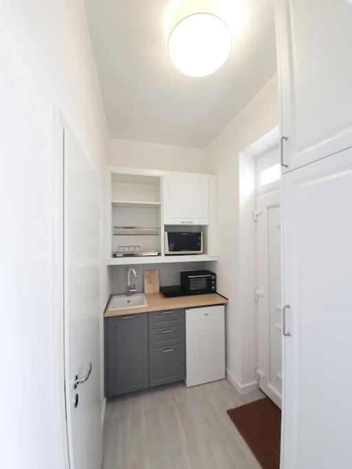 Master Apartment With Air Condition And Separated Rooftop Terrace ブダペスト エクステリア 写真