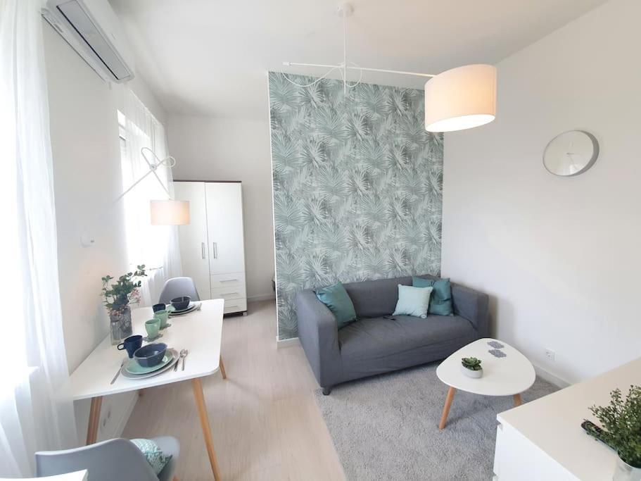 Master Apartment With Air Condition And Separated Rooftop Terrace ブダペスト エクステリア 写真