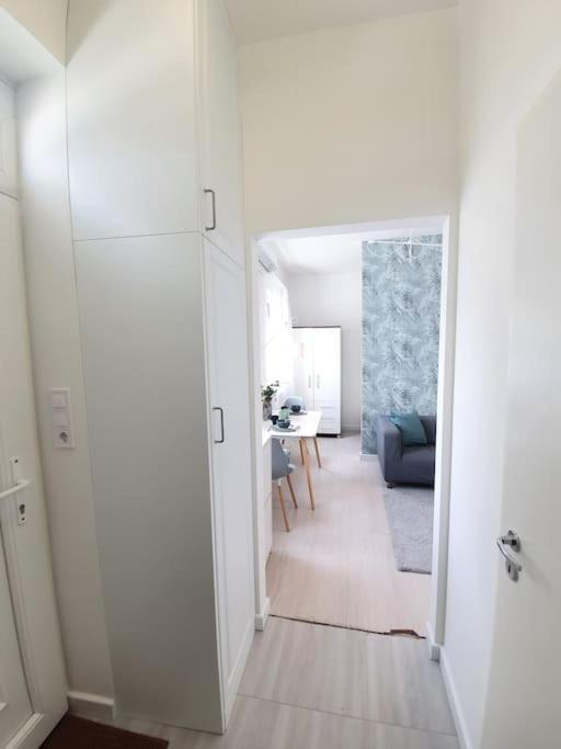 Master Apartment With Air Condition And Separated Rooftop Terrace ブダペスト エクステリア 写真