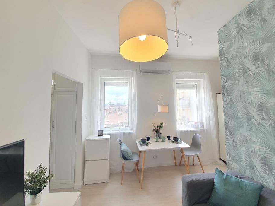 Master Apartment With Air Condition And Separated Rooftop Terrace ブダペスト エクステリア 写真