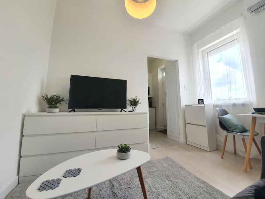 Master Apartment With Air Condition And Separated Rooftop Terrace ブダペスト エクステリア 写真